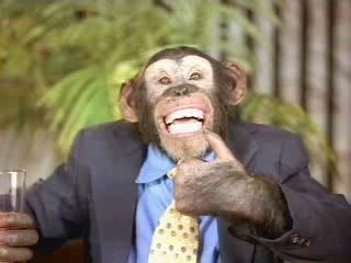 Mvp 2 Most Vertical Primate
