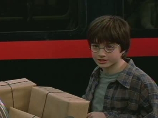 Harry Potter And The Sorcerers Stone Scene Platform 9