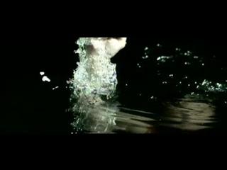 play video on Video Detective