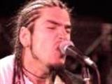 DAVIDIAN
