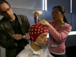 THE BRAIN