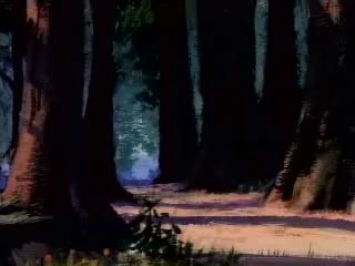 play video on Video Detective