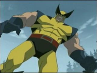 Hulk Vs Scene 1 Wolverine