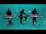 Animal Collective - MY GIRLS