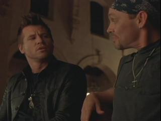 Scene Hates Dolphins