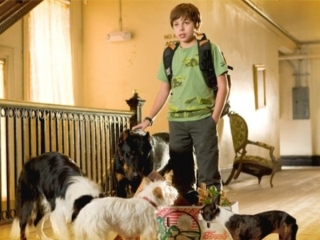 Hotel For Dogs Uk