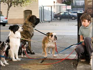 Hotel For Dogs Spanish - Hotel for Dogs - Flixster Video