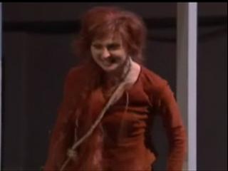 The Cunning Little Vixen