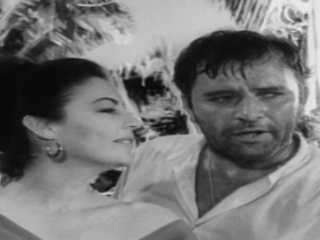 Night Of The Iguana