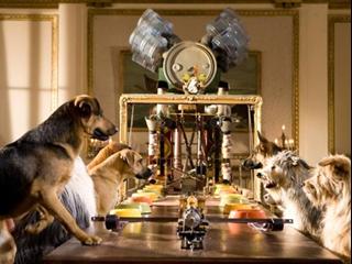 Hotel For Dogs French - Hotel for Dogs - Flixster Video