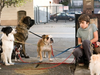 Hotel For Dogs Italian