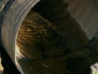 FRONTLINE: poisoned waters