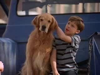 The Trial Of Old Drum