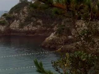 The Cove Dolphins Worst Nightmare
