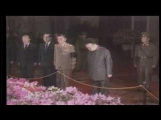 Kimjongilia