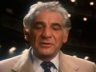 Leonard Bernstein: Reflections