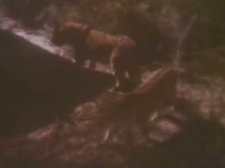 Maneaters Are Loose