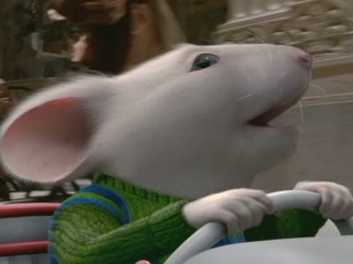 Stuart Little 2 Scene Injured Bird Coming Through