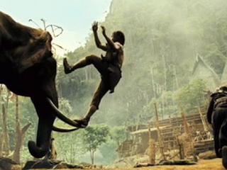 Ong Bak Elephant