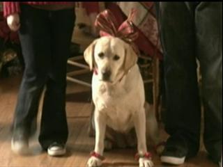 The Dog Who Saved Christmas