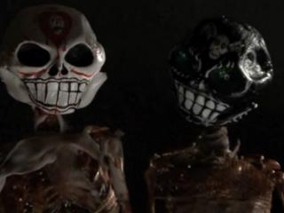 Skull Heads