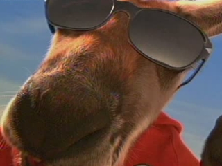 Kangaroo Jack Scene A Dream