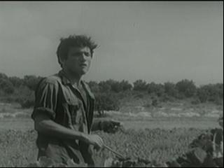 He Walked Through The Fields