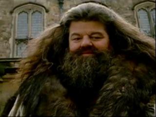 HARRY POTTER AND THE CHAMBER OF SECRETS ULTIMATE COLLECTOR'S EDITION: ROBBIE COLTRANE
