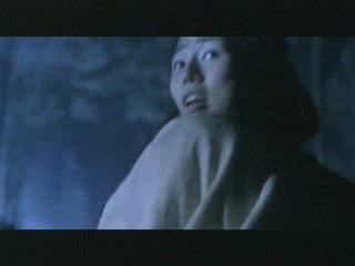 Tsui Harks Vampire Hunters