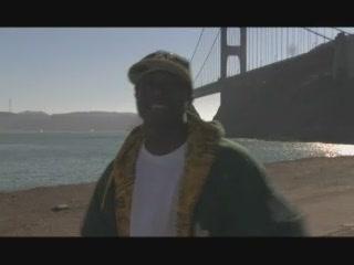 DARQ - Bronx To Bay