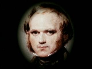 What Darwin Never Knew