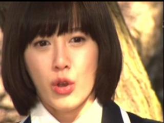 Boys Over Flowers Vol. 1
