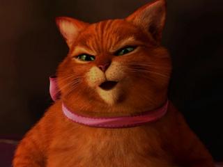 Shrek Forever After Meet Puss