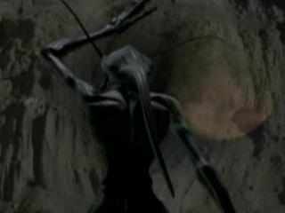 Creature Of Darkness