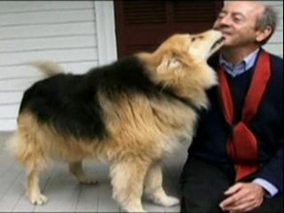 My Dog An Unconditional Love Story