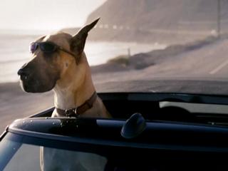 Marmaduke Trailer 1