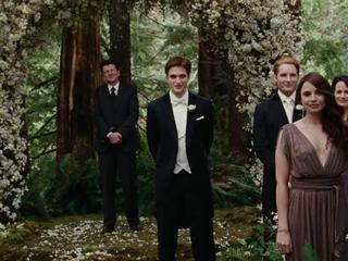 The Twilight Saga Breaking Dawn-part 1