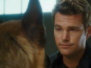 Cats  Dogs The Revenge Of Kitty Galore Ill Do Everything I Can To Get You Out Of Here - Cats  Dogs The Revenge of Kitty Galore - Flixster Video