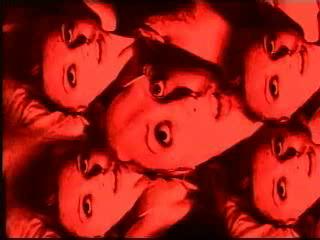 Arachnia