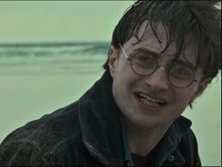 Harry Potter And The Deathly Hallows-part 1 On The Run