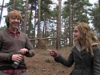 Harry Potter And The Deathly Hallows-part 1 Forest Run