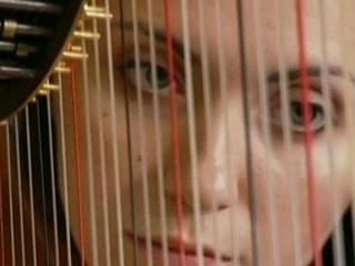 Harp Dreams