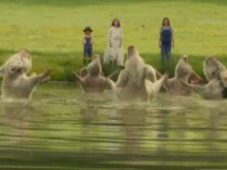 Nanny Mcphee Returns The Pigs Go Swimming