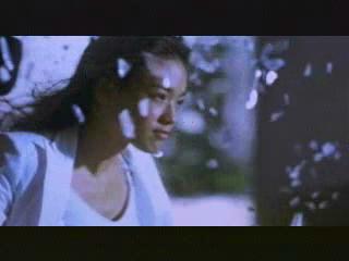 play video on Video Detective