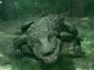 Lake Placid 3 (2010)