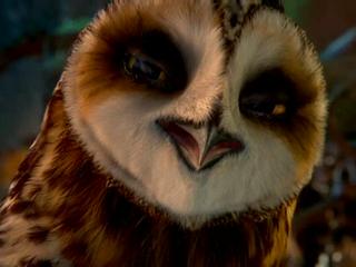 Legend Of The Guardians The Owls Of Gahoole Basic Training