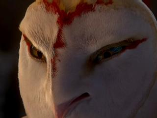 Legend Of The Guardians The Owls Of Gahoole IAm Nyra