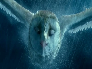 Legend Of The Guardians The Owls Of Gahoole Use Your Gizzard