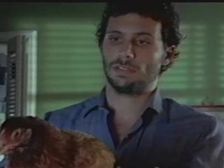 Scene Chickens Are Cool