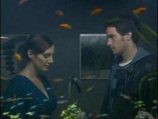 La Vida De Los Peces